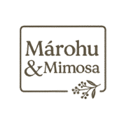 Black female artist prints - Márohu & Mimosa black-owned jamii greetings cards art